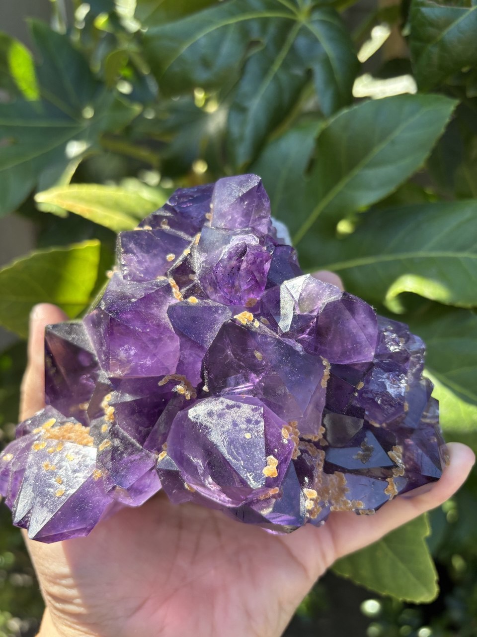 Raw Amethyst