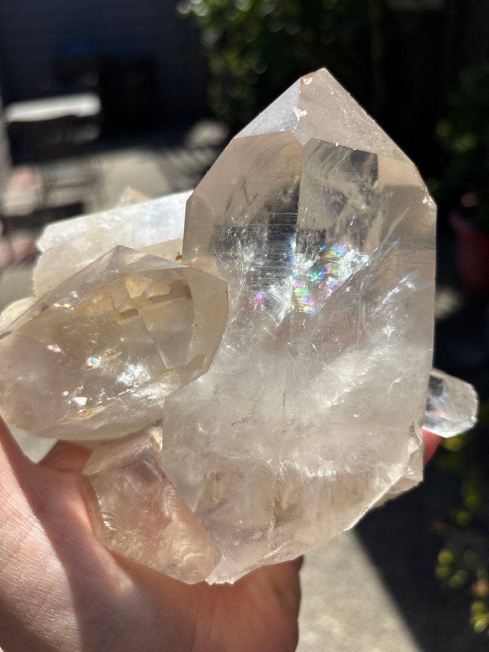 Himalayan Quartz Point Cluster