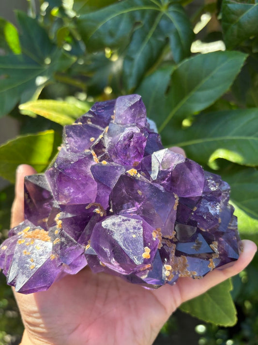 Raw Amethyst