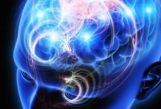Quantum NLP Coaching Session