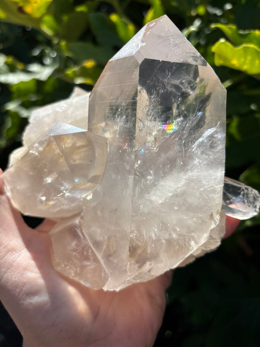 Himalayan Quartz Point Cluster